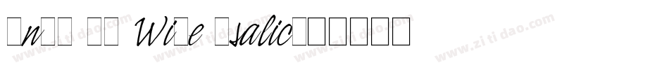 Indy 17 Wide Italic字体转换